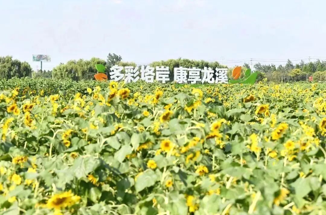 1767834828511730.jpg 3.jpg